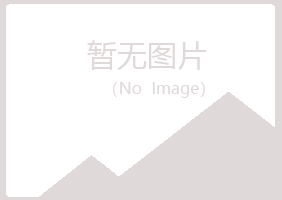 莲湖区惜雪能源有限公司